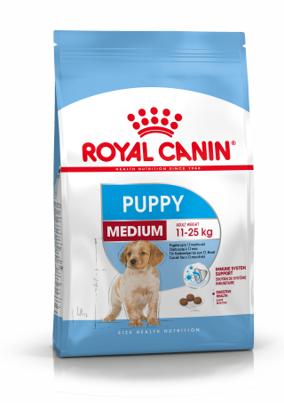 Medium Puppy